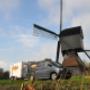 Boktor houtworm zwam molen