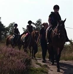 Krimhoeve-Veluwe Ranch