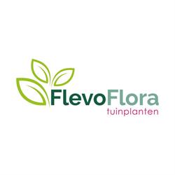 Flevoflora