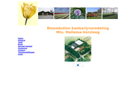 Maatschap Mellema Versteeg Bloembollenkwekerij Veredeling