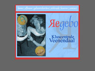 Rijk van Dooren de ver-bouwklusser , Regebo de kunstzinnige schilder