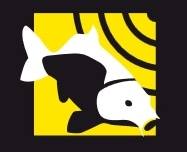FISHFUN