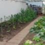 Tuin in de kas 't Zuider Stee
