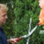 Hovenier Van Dijk Tuinen
