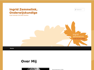 Ingrid Zemmelink, Onderwijskundige