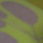 Boukes Schildersbedrijf J