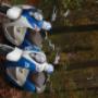 Autorijschool Verkeersschool Striekwold