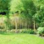Wilfens Hout- en Bouwmarkt