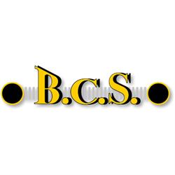 BCS Loonbedrijf