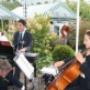 Feest in de tuin