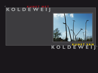 Mirjam Koldeweij beeldend kunstenaar