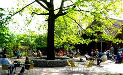Koffieboerderij "Groot-Nibbelink" VOF
