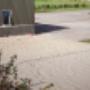 Falkenborg Minicamping