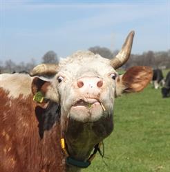 Landjuweel De Hoeven