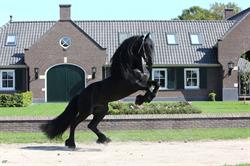 De Nieuwe Heuvel O.G. B.V.