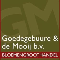 Goedegebuure & de Mooij B.v.
