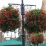 Hanging baskets systeem Sifu