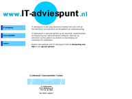 It-Adviespunt