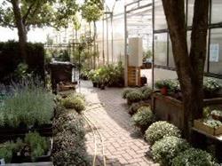 Kwekerij Hoveniersbedrijf Tuincentrum Bert Visscher V.O.F.