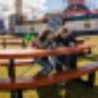 foldtable
