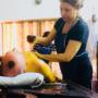 ayurveda therapie