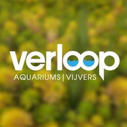 Verloop Vijverspeciaalzaak B.v.