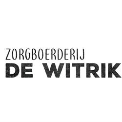 Stichting De Witrik