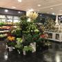 Van Beest Bloemen en Planten