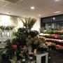 Van Beest Bloemen en Planten