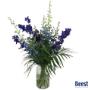 Van Beest Bloemen en Planten