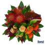 Van Beest Bloemen en Planten