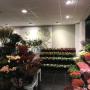 Van Beest Bloemen en Planten