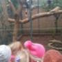 Shezaf Kinderopvang/Peuteropvang locatie Regenboog