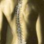 Chiropractie Utrecht