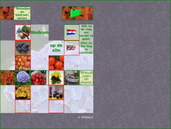 Website van Webland 