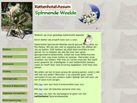 Spinnendeweelde Assum Kattenhotel