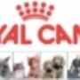 Dierenvakantiecentrum De Stolpen