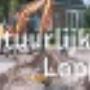 Gemeente Loppersum