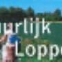 Gemeente Loppersum