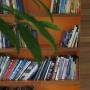 Ingebouwde boekenkast