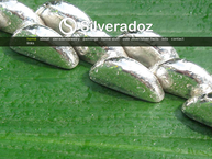 Silveradoz
