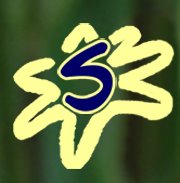 Sevenhills Gardenplants - Vaste Planten