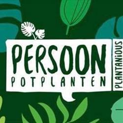 Persoon Potplanten