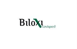 Biloxi Vastgoed B.v.