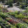 De Kruidhof hortus van Frysl�n