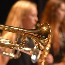 Stichting "Muziekschool Rijssen en omstreken"