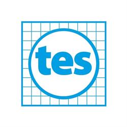 Tes Holding B.v.