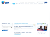 Website van Dsm Insurances B.v. 