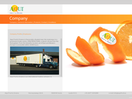 Danmur International B.v.
