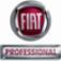 Fiat Peeters Autobedrijf P J